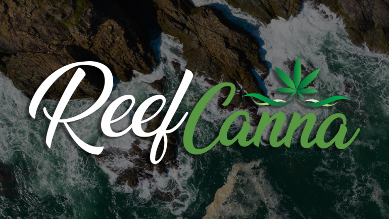 Reef canna